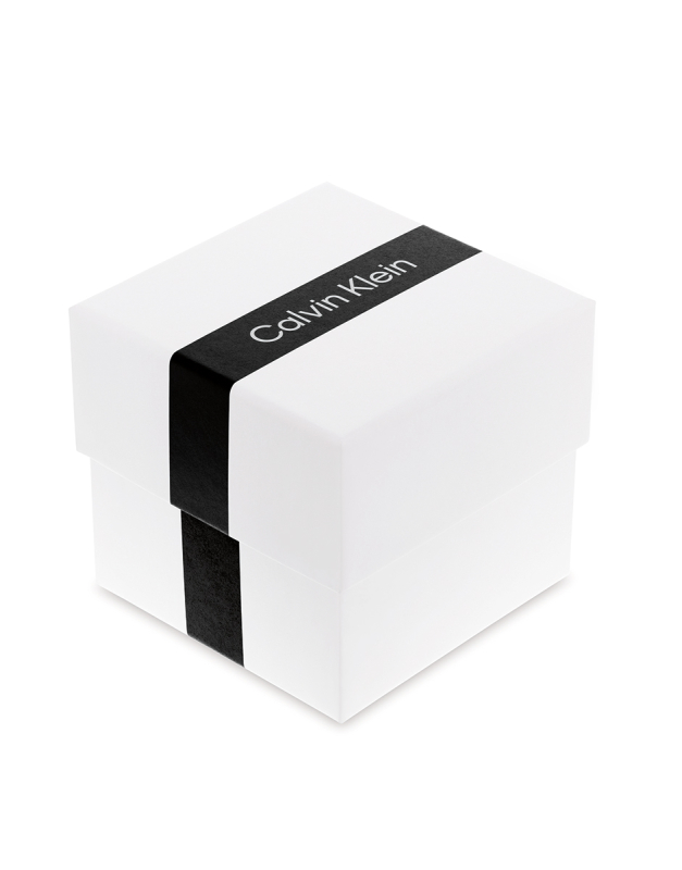 Calvin Klein Slate Men's Watch