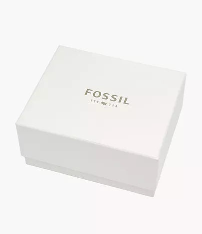 Fossil Silver Stainless Steel Watch Set